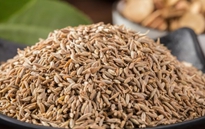 孜然包裝機(jī)，給您最好的享受